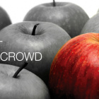 Stand out from the crowd
