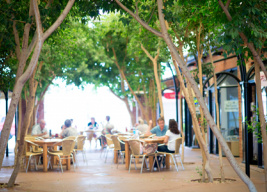 Shopping Centres & Malls