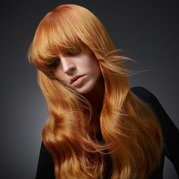 Master Goldwell Colourists